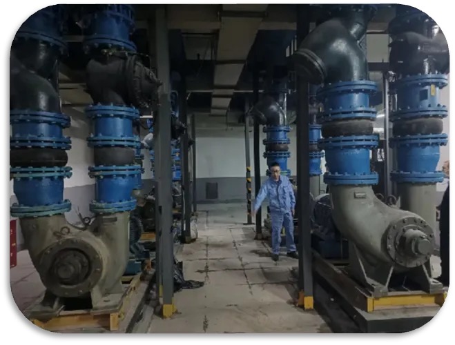 WechatIMG11569 WechatIMG11569